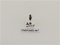 藏品(鞘翅目(2))的圖片